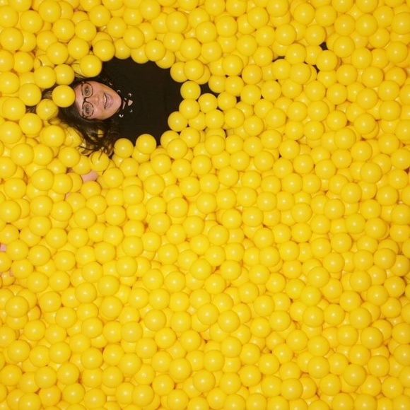 Meet your Posher, Sam - Picture 1 of 1